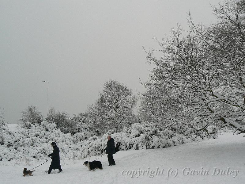 Snow, Blackheath P1070055.JPG